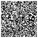 QR code with Boreas Consulting Inc contacts