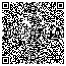 QR code with Borgen Consulting LLC contacts