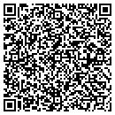 QR code with Capone Consulting Inc contacts