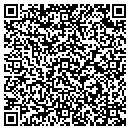 QR code with Pro Consulting L L C contacts