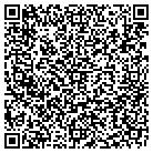 QR code with Qsi Consulting Inc contacts