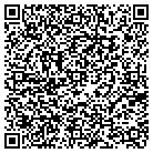 QR code with Pullman Consulting LLC contacts