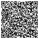 QR code with Color Signs & Supplies contacts