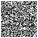 QR code with Cws Consulting Inc contacts