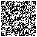 QR code with Gow & Partners LLC contacts