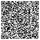 QR code with Camejo Consultants Inc contacts