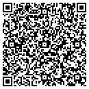 QR code with Carjul Solutions Inc contacts