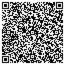 QR code with Cfg Consulting Inc contacts