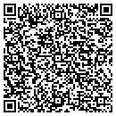 QR code with Dsf Consultancy Inc contacts