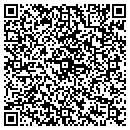 QR code with Covian Consulting Inc contacts