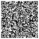 QR code with Crisan Consulting LLC contacts