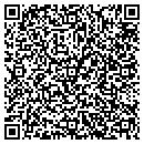 QR code with Carmel Consulting Inc contacts