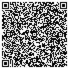 QR code with Bk System Consulting Inc contacts
