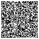 QR code with Crowne Consulting Inc contacts