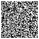 QR code with Pulse Consulting LLC contacts