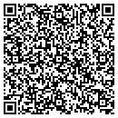 QR code with Blaze Excel Consulting contacts