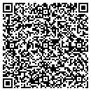 QR code with Cogent Consulting Inc contacts