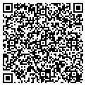 QR code with Netweb contacts