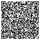 QR code with Psw Consulting LLC contacts