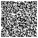QR code with Pt Systems Inc contacts