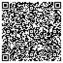 QR code with Pyp Consulting Inc contacts