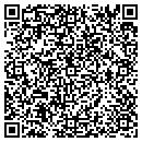 QR code with Providing Your Solutions contacts