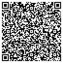 QR code with Cybersoft LLC contacts