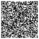 QR code with Pyramid Consulting contacts