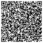 QR code with Blue Ridge Numerics Inc contacts