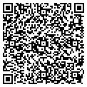 QR code with C/Lect contacts