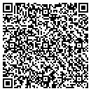 QR code with Cyber Solutions Ltd contacts
