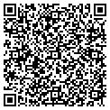 QR code with M Space contacts