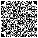QR code with Carnahan Consulting contacts