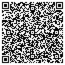 QR code with Pt Consulting LLC contacts