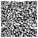 QR code with Pyzik Associates contacts