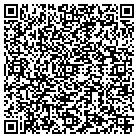 QR code with Serendipity Playsystems contacts
