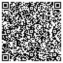 QR code with Protyle Consulting Inc contacts