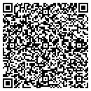 QR code with Consulting Geologist contacts