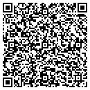 QR code with Stege Consulting LLC contacts