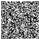 QR code with Cybertech Solutions contacts