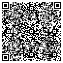 QR code with Premiere Consulting contacts