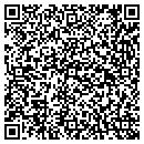 QR code with Carr Consulting LLC contacts
