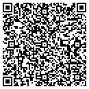 QR code with Public Saftey contacts