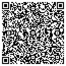 QR code with Punit Sarang contacts