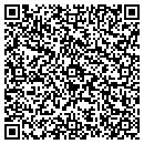 QR code with Cfo Consulting Inc contacts