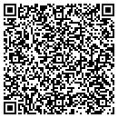 QR code with Pte Consulting LLC contacts