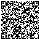 QR code with Pyle & Dellinger contacts
