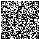 QR code with Public Issue Management Llp contacts