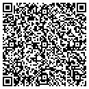 QR code with Basis Consulting LLC contacts