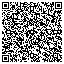 QR code with Conundrum Solutions LLC contacts